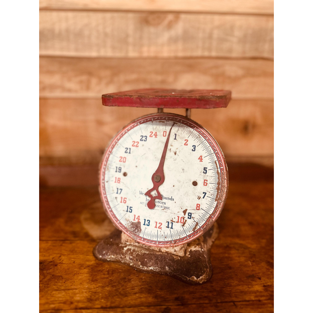 Vintage 1930s Kitchen Scale Red American Family Platform Scale